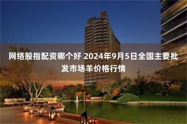 网络股指配资哪个好 2024年9月5日全国主要批发市场羊价格行情