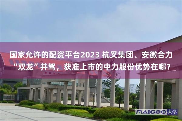 国家允许的配资平台2023 杭叉集团、安徽合力“双龙”并驾，获准上市的中力股份优势在哪？