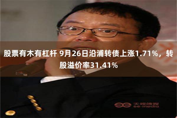 股票有木有杠杆 9月26日沿浦转债上涨1.71%，转股溢价率31.41%