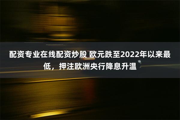 配资专业在线配资炒股 欧元跌至2022年以来最低，押注欧洲央行降息升温