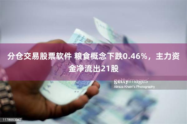 分仓交易股票软件 粮食概念下跌0.46%，主力资金净流出21股