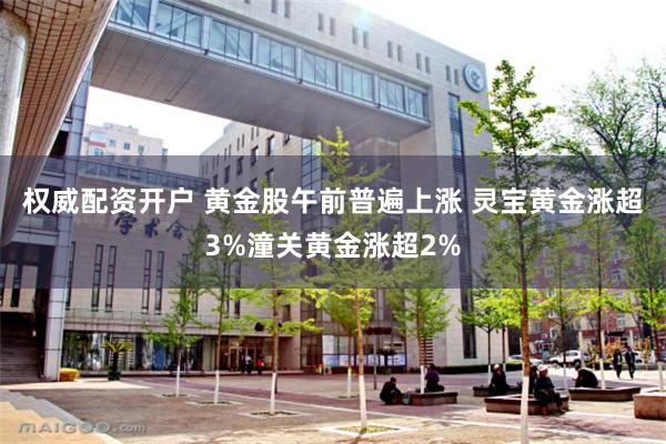 权威配资开户 黄金股午前普遍上涨 灵宝黄金涨超3%潼关黄金涨超2%