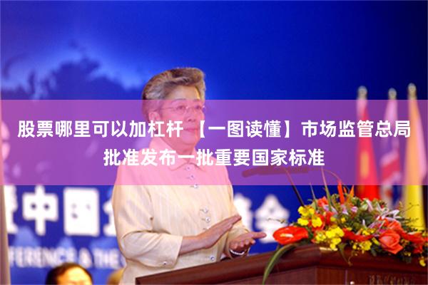 股票哪里可以加杠杆 【一图读懂】市场监管总局批准发布一批重要国家标准