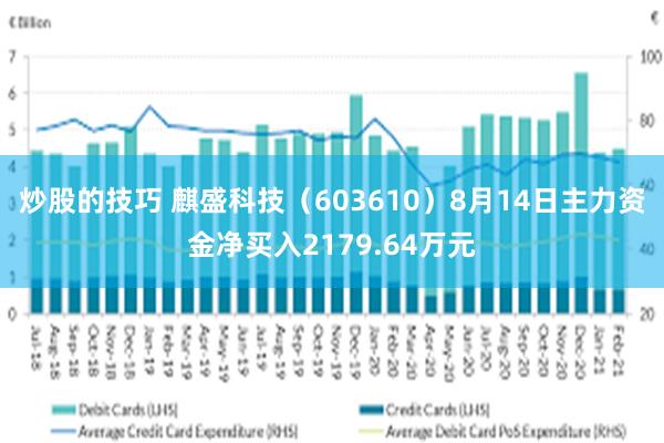 炒股的技巧 麒盛科技（603610）8月14日主力资金净买入2179.64万元