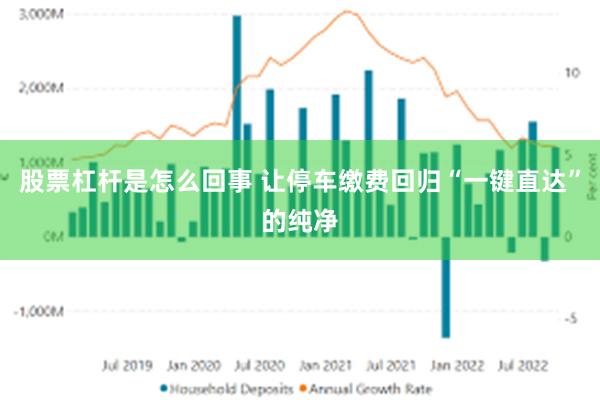 股票杠杆是怎么回事 让停车缴费回归“一键直达”的纯净
