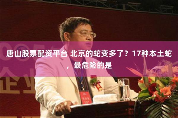 唐山股票配资平台 北京的蛇变多了？17种本土蛇，最危险的是