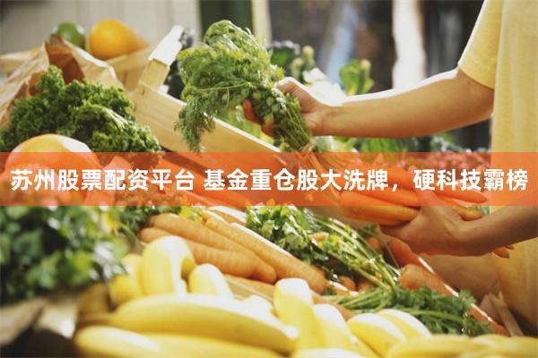 苏州股票配资平台 基金重仓股大洗牌，硬科技霸榜