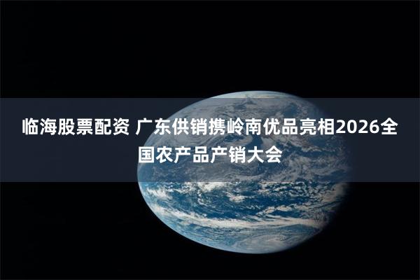临海股票配资 广东供销携岭南优品亮相2026全国农产品产销大会