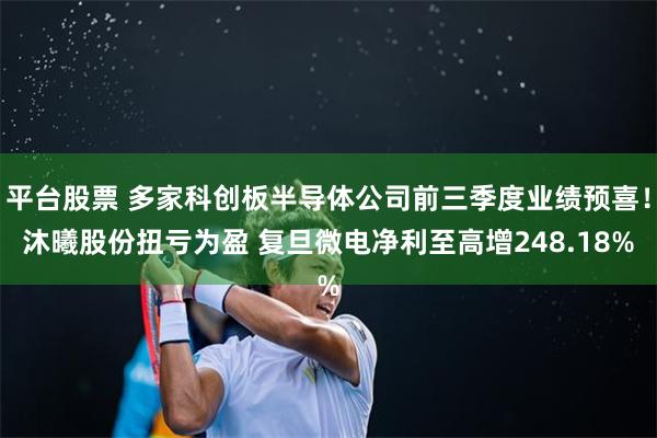 平台股票 多家科创板半导体公司前三季度业绩预喜！沐曦股份扭亏为盈 复旦微电净利至高增248.18%
